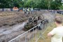 Thumbs/tn_IKW Wanroij 2015 563.jpg